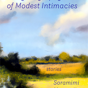 A Psychography of Modest Intimacies <br> by Soramimi Hanarejima