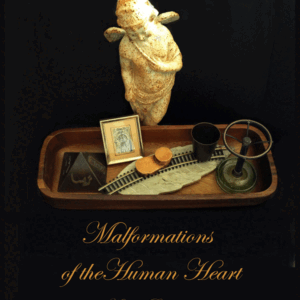 Malformations of the Human Heart <br> by Kathryn Rantala